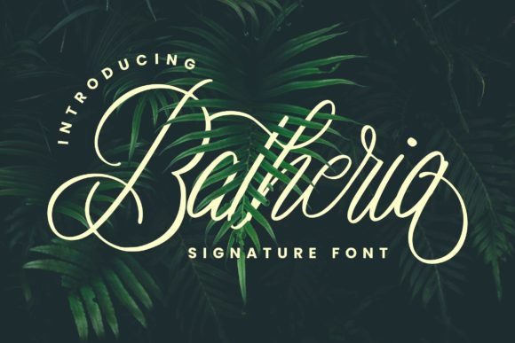 Batheria: A Refined Script Font