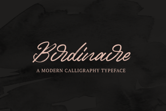 Birdinaire Font for Editorial Design